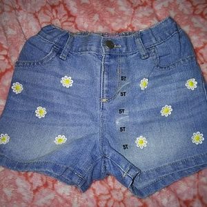 Adorable toddler shorts